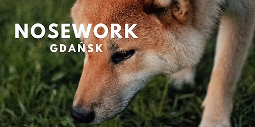 NOSEWORK | Gda\u0144sk | Stycze\u0144