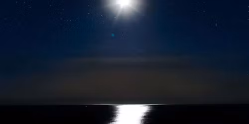 Parking BATSU! - Fort Lauderdale