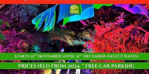 Illuminate Winter Lights