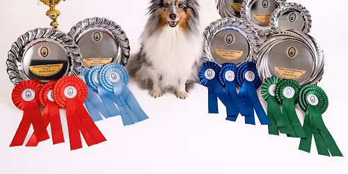 DD zkou\u0161ky s J\u010cT - v Bavorov\u011b v\u0161echny stupn\u011b bez DwD2,3