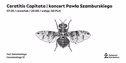 Ceratitis Capitata. Koncert Paw\u0142a Szamburskiego