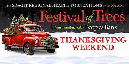 2025 Festival of Trees