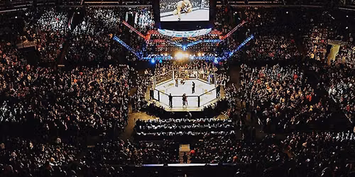 UFC Fight Night: Allen vs. Duncan