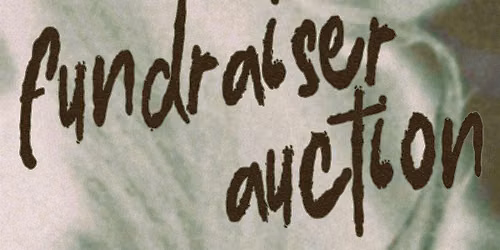 Advanced Diploma of Visual Art Fundraiser Auction