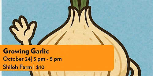 Growing Garlic