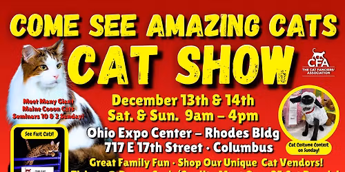 Come See Amazing Cats \ud83d\ude3b\u2764\ufe0f\ud83c\udf89 at the PURR-FECT COLUMBUS, OH Cat Show & AGILITY Contest Dec. 13 &14!