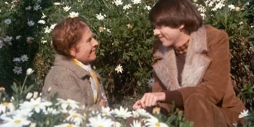 'Harold and Maude' at The Nightlight \ud83c\udfac