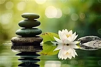 Wellness Workshop: Five Characteristics of a Wellness Mindset