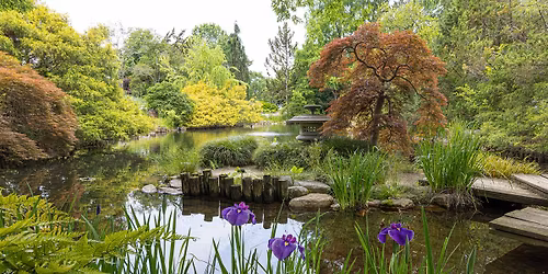 Xeriscaping For Central Virginia