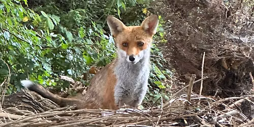 Art exhibition