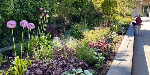 Flower Hour: Habitats at Home