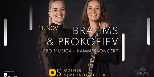 BRAHMS & PROKOFIEV - Pro Musica - Kammerkoncert