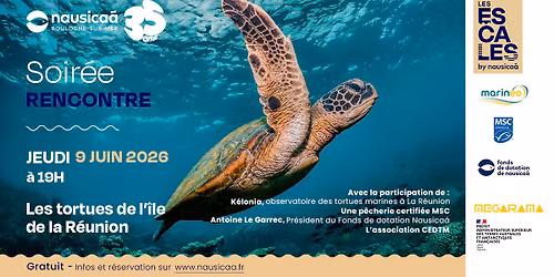 Soir\u00e9e-Rencontre : Les tortues marines de l\u2019\u00eele de La R\u00e9union