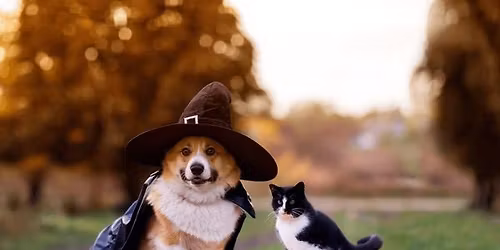 ACAH Fall Festival\ud83c\udf83\ud83c\udf42