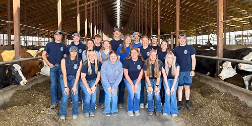 Pork Chop Dinner & Live Auction