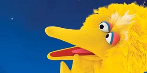 Little Explorers, Big Sky