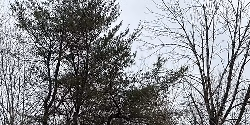 AIRSOFT NIGHT Game 6-9pm 