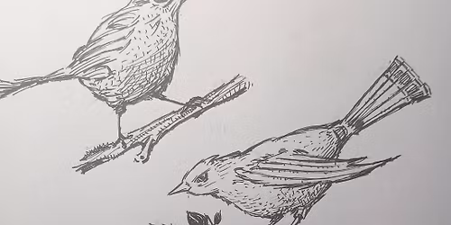 How to Draw Birds Workshop | Ages 12-Adult