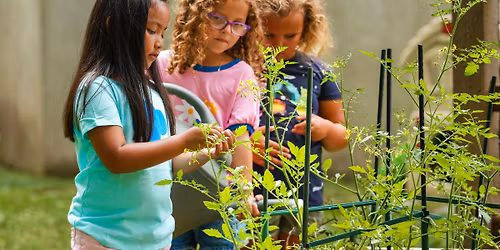 Gardening with Girl Scouts At Flower Valley Orchards Flower Farm