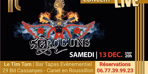 SAMEDI 13 DEC. = CONCERT avec *AEROGUNS* au TIM TAM