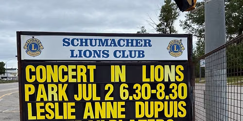 Summer Concert in the Park