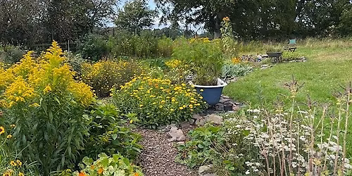 At Birkhill House CIC Makers Group - Dye Garden Block
