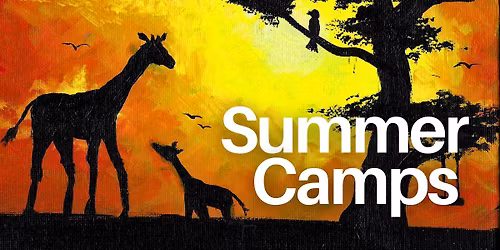 Falls Church Summer Camps ($515 per week, registration link in overview)