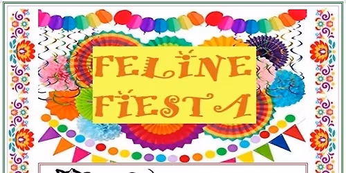 Feline Fiesta