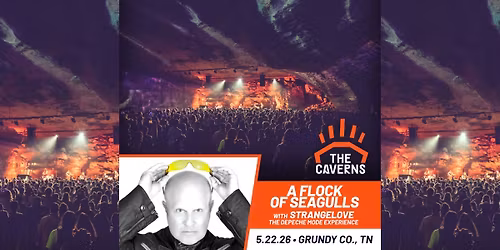 A Flock of Seagulls in The Caverns with Strangelove - The Depeche Mode Experience