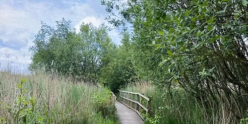 Wellbeing Walk - RSPB St Aidan's, Leeds.