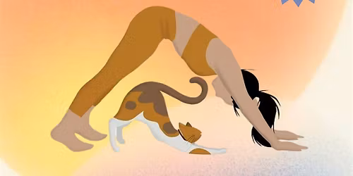 Kitten Yoga with Lianna Lee: Benefiting FWCAC