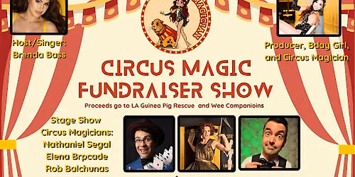Circus Magic Fundraiser Show