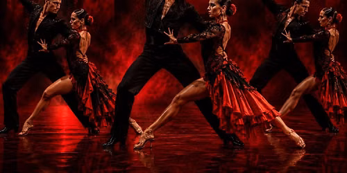 Sesame Dance Club \ud83e\udea9 ALL ARE WELCOME