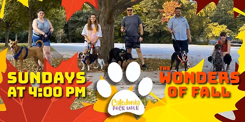 Caledonia Pack Walk - Weather Permitting