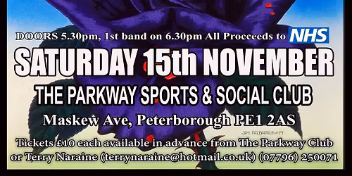 Dedication 20 Peterborough's Thin Lizzy Phil Lynott Tribute show