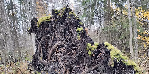 Ehdottoman hyv\u00e4ksymisen hengitysp\u00e4iv\u00e4