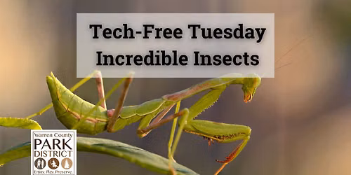 Tech-Free Tuesday: Incredible Insects with Cincy Museum Center