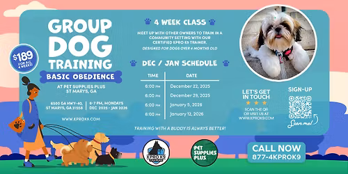 St Marys Pro Basic Obedience Group Class