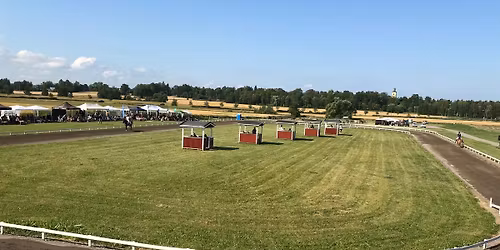  Sommart\u00e4vling, niv\u00e5 4 (t\u00f6lt- och g\u00e5ngartsgrenar)