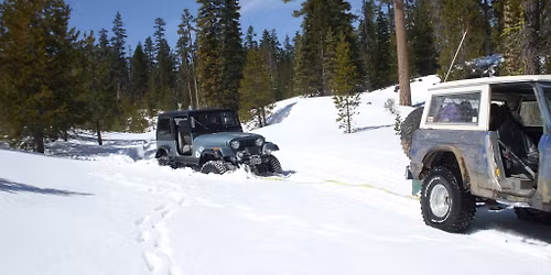 Christmas Tree Run on Cultus Mountain