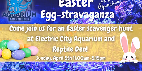 Easter Egg-stravaganza at the Aquarium!