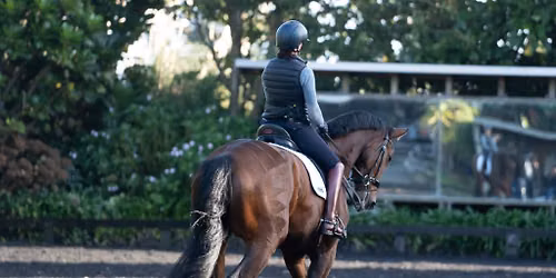 Back to 'schooling' flatwork with Liza Faircloth #2