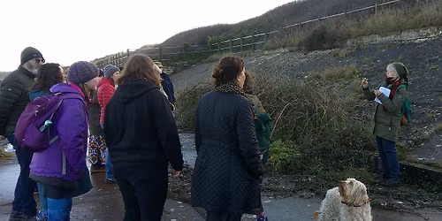 Winter Wildflower Walk