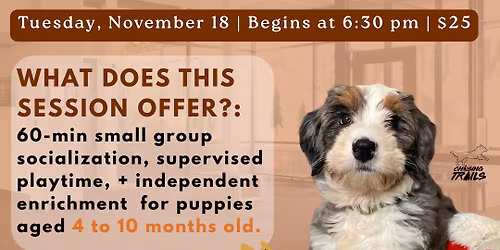 PUPPY HOUR: Supervised Playgroup + Enrichment (MUST PRE-REGISTER!)