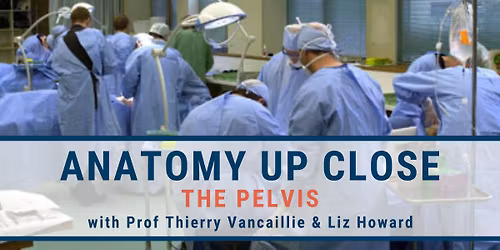 Anatomy Up Close - The Pelvis