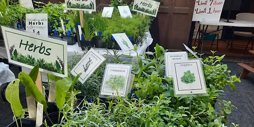 Master Gardener Annual Plant Sale