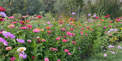 A Half Day of Awareness: Meditation, Movement, & More!