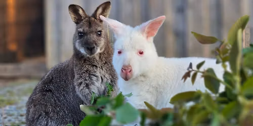 Tiere hautnah erleben (Pl\u00e4tze begrenzt! Nur mit schriftlicher Anmeldung m\u00f6glich)) 