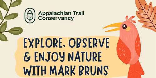 Birding Walk