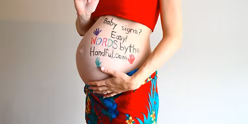 Baby Sign Language Level 1 Classes Oct - Dec 2025